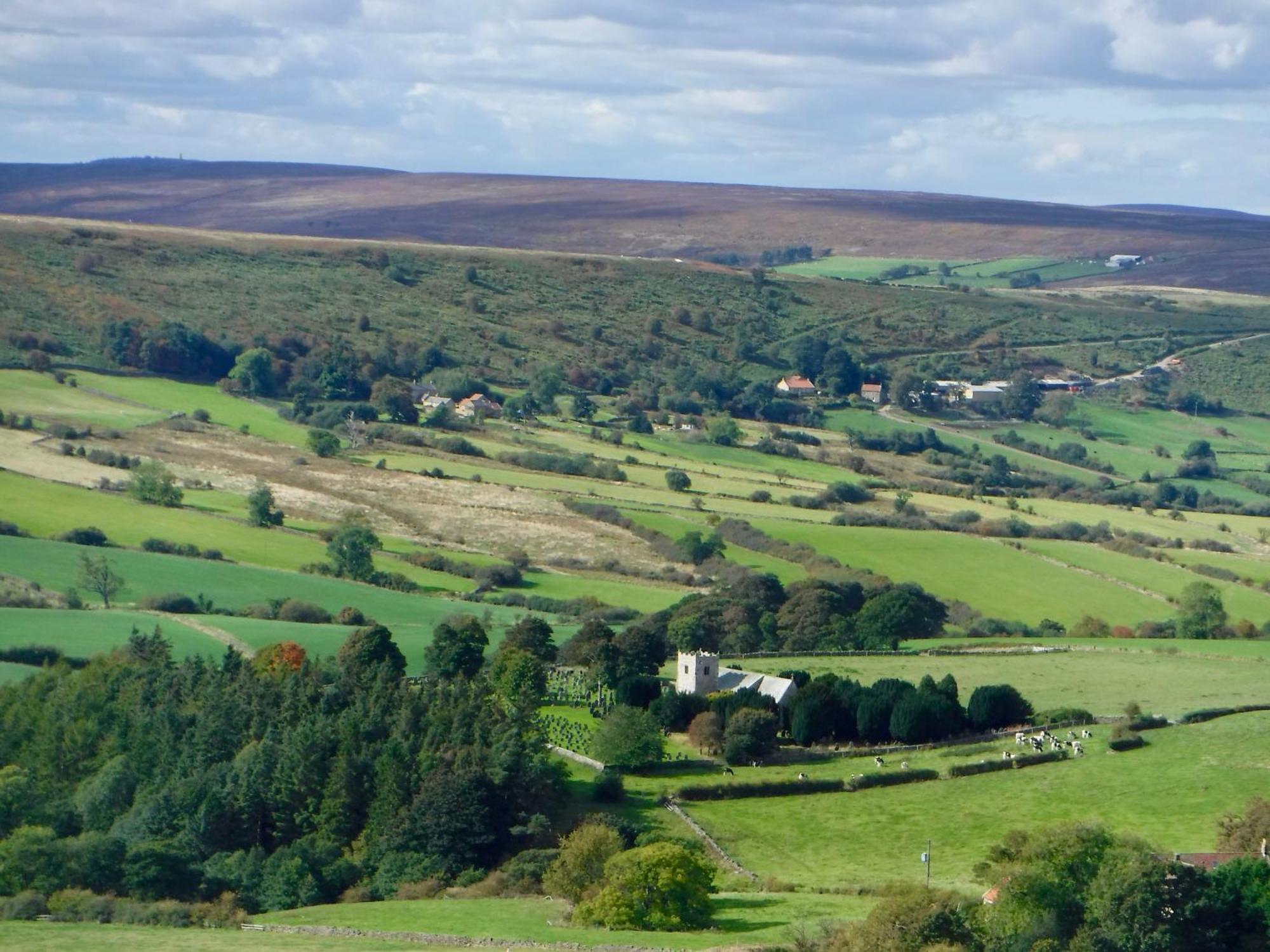 Church House Farm Danby エクステリア 写真