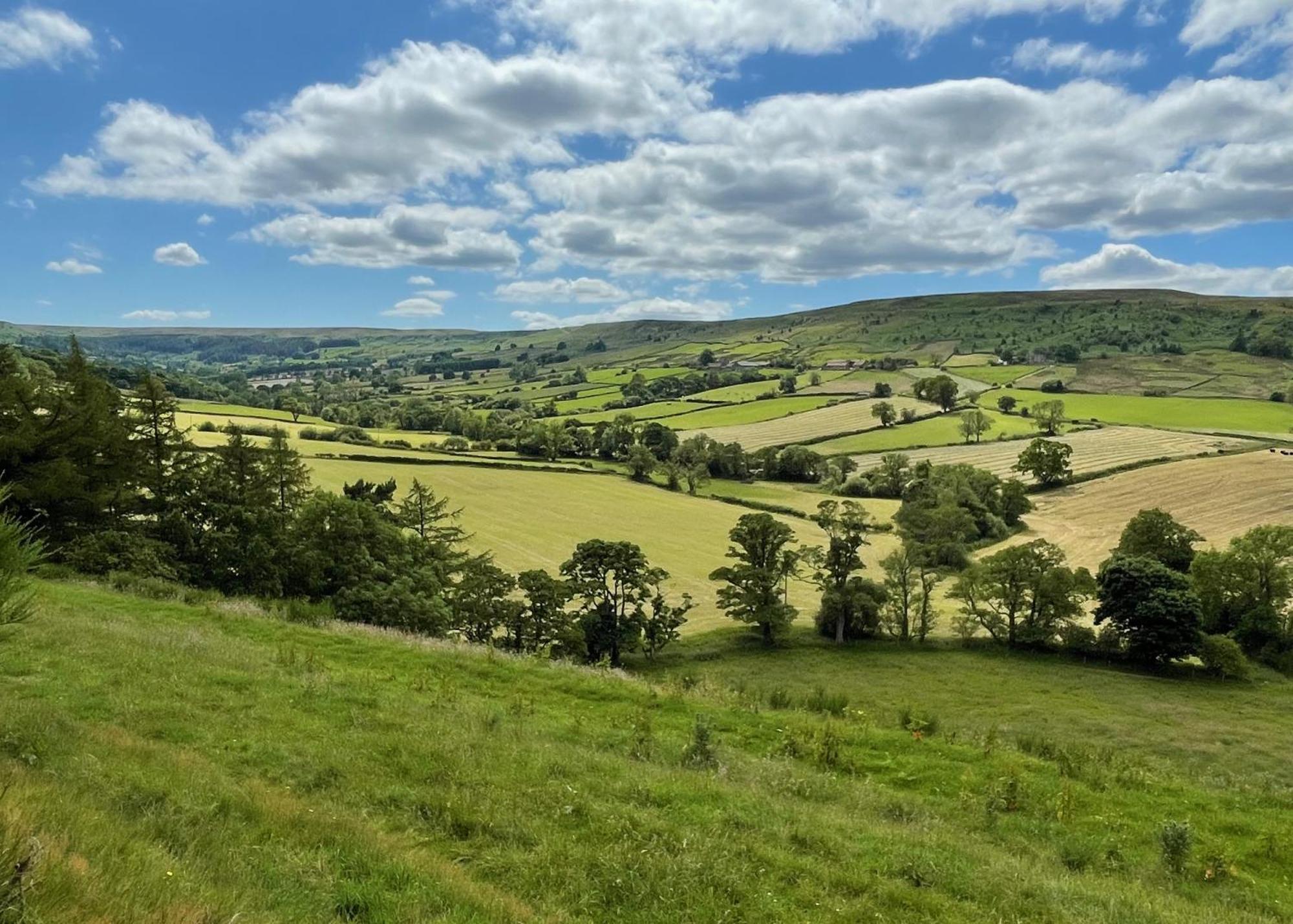 Church House Farm Danby エクステリア 写真