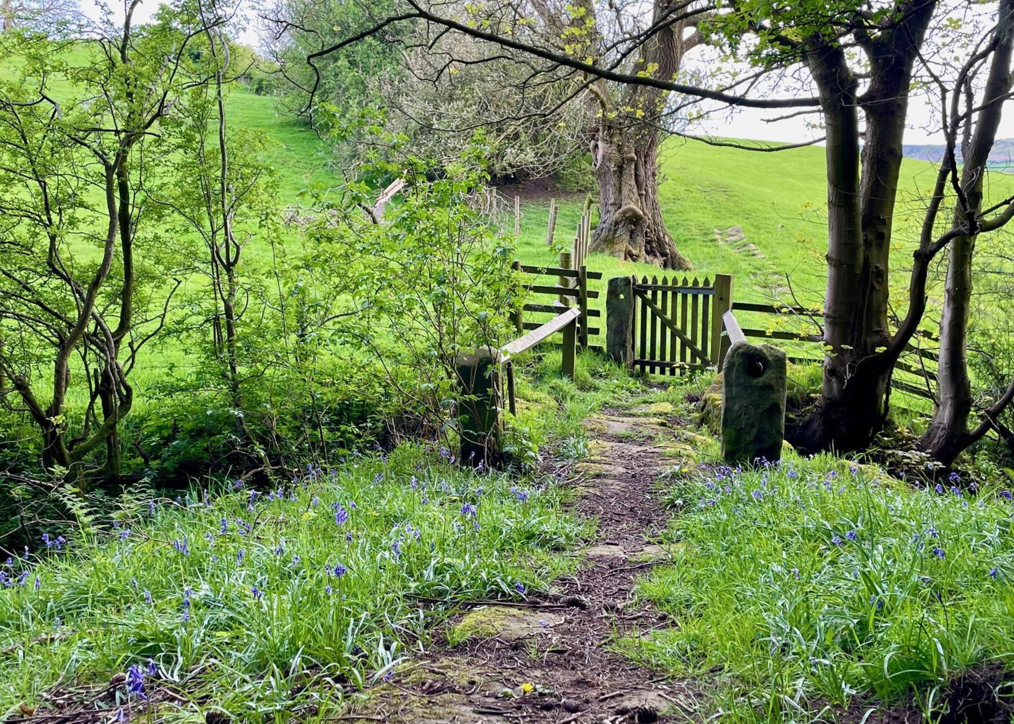 Church House Farm Danby エクステリア 写真